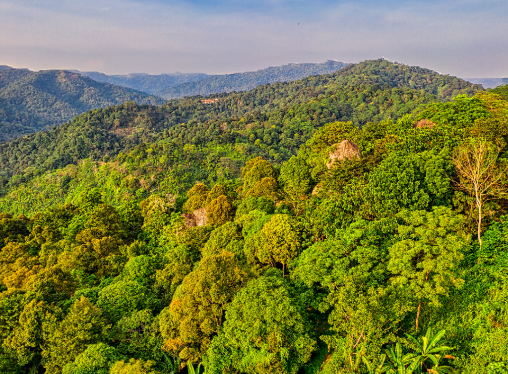 A panoramic view of lush green mountains under a clear blue sky, featuring a mix of dense trees and distant hills.